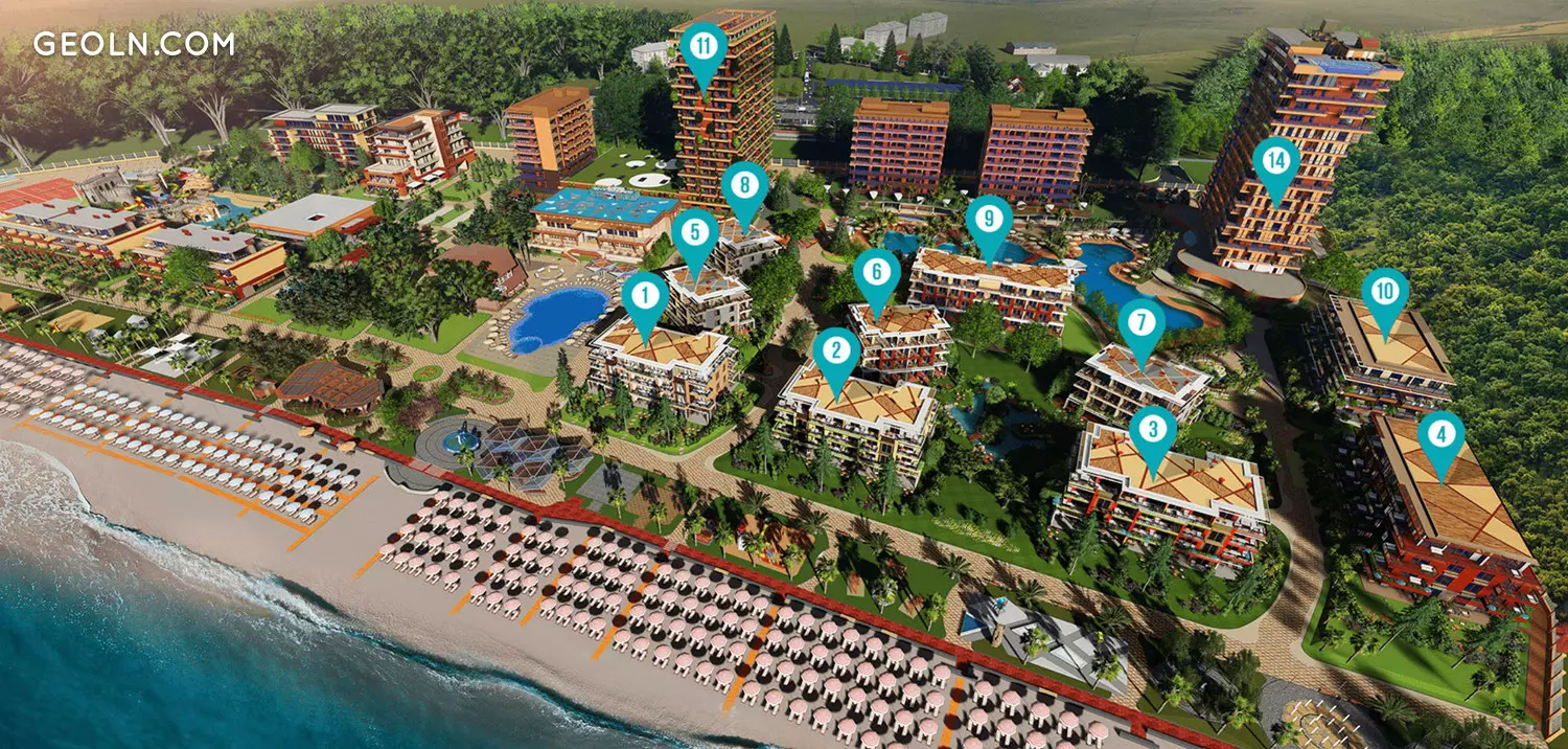 Dreamland Oasis · ჭაქვი